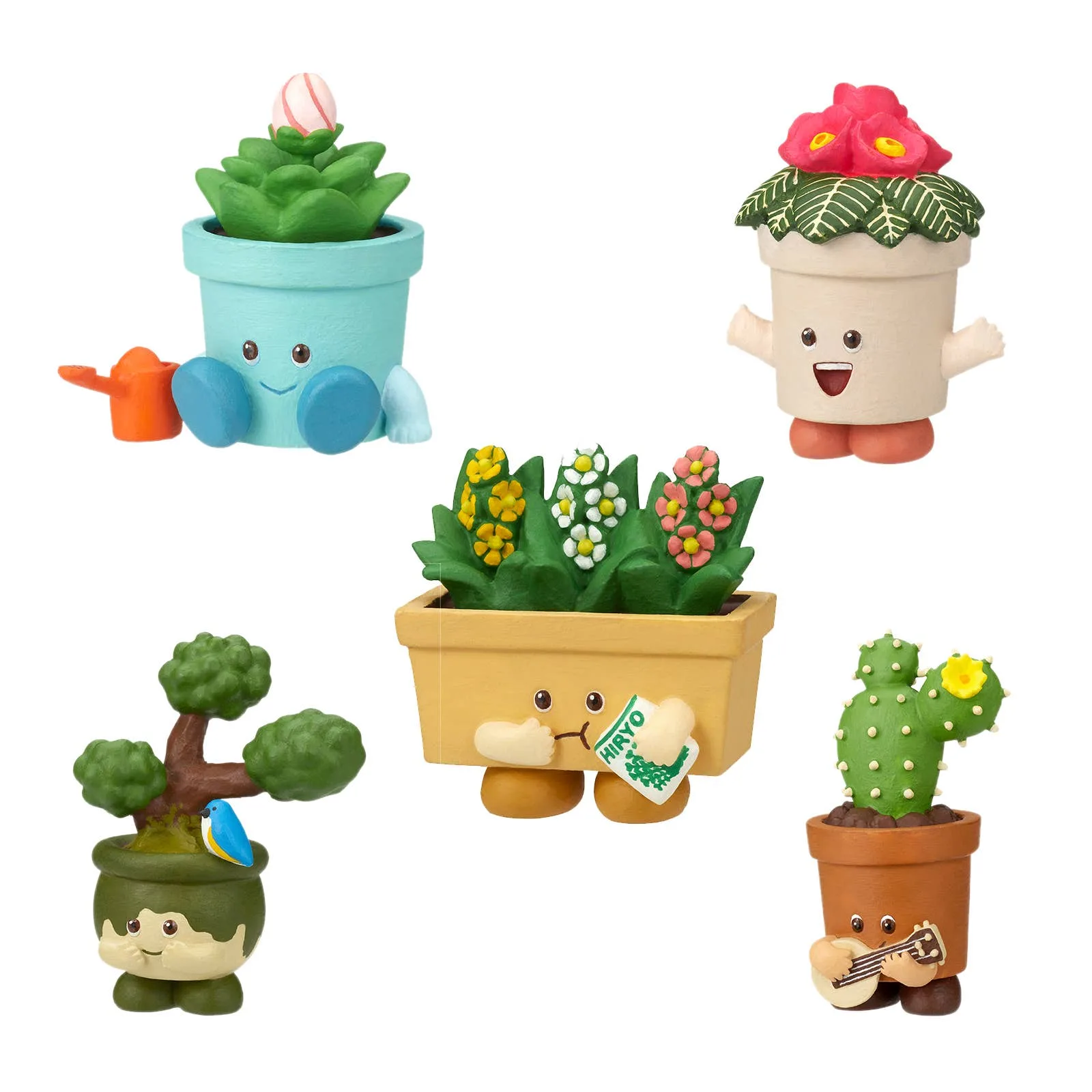 Bloom Buddies Blind Box: What's Inside & How to Display