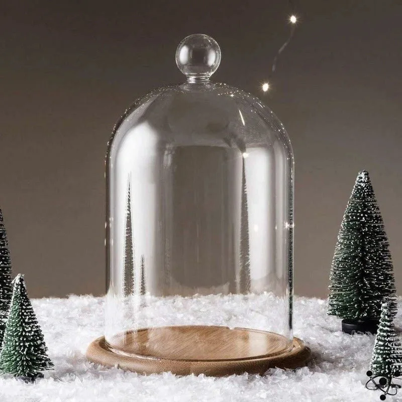 Exhibition Glass Cloche