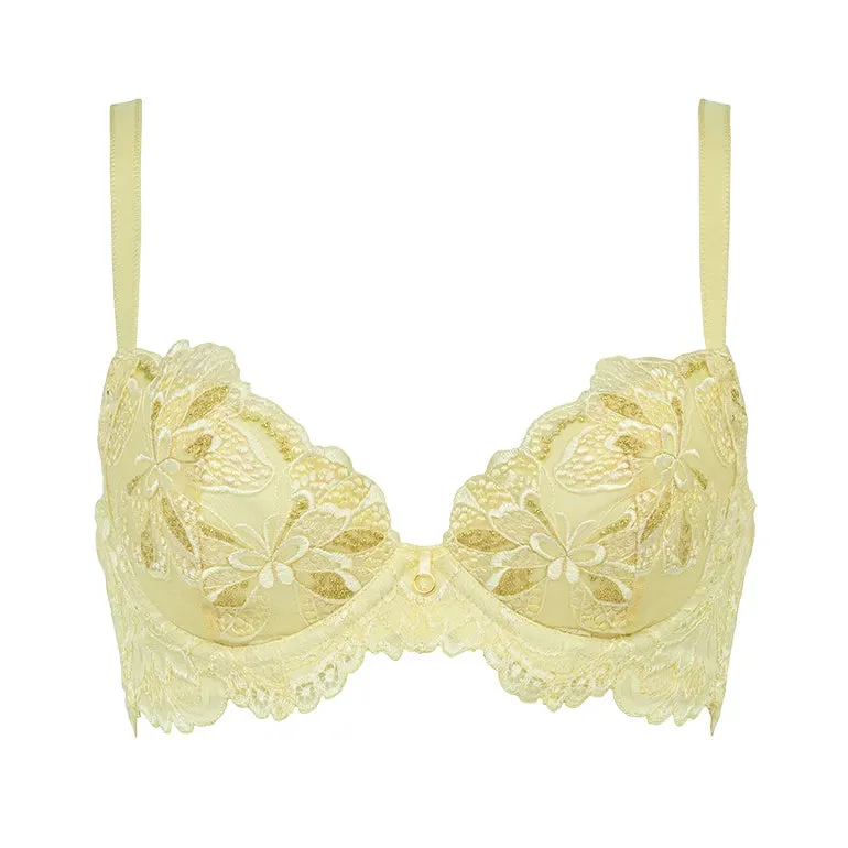 Push-Up Plunge Bra Fit: Belle vs Rose
