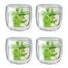Buy ZWILLING Sorrento Tea glass set