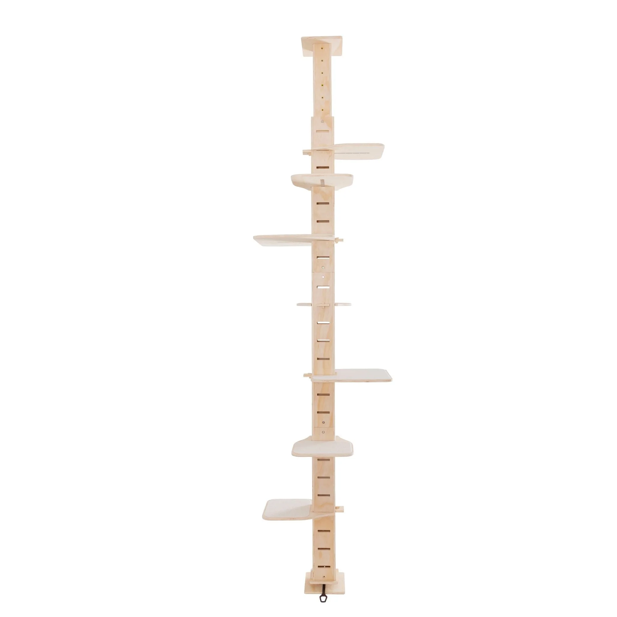 Cat Tree with Platform vs Tower: Which Wins?