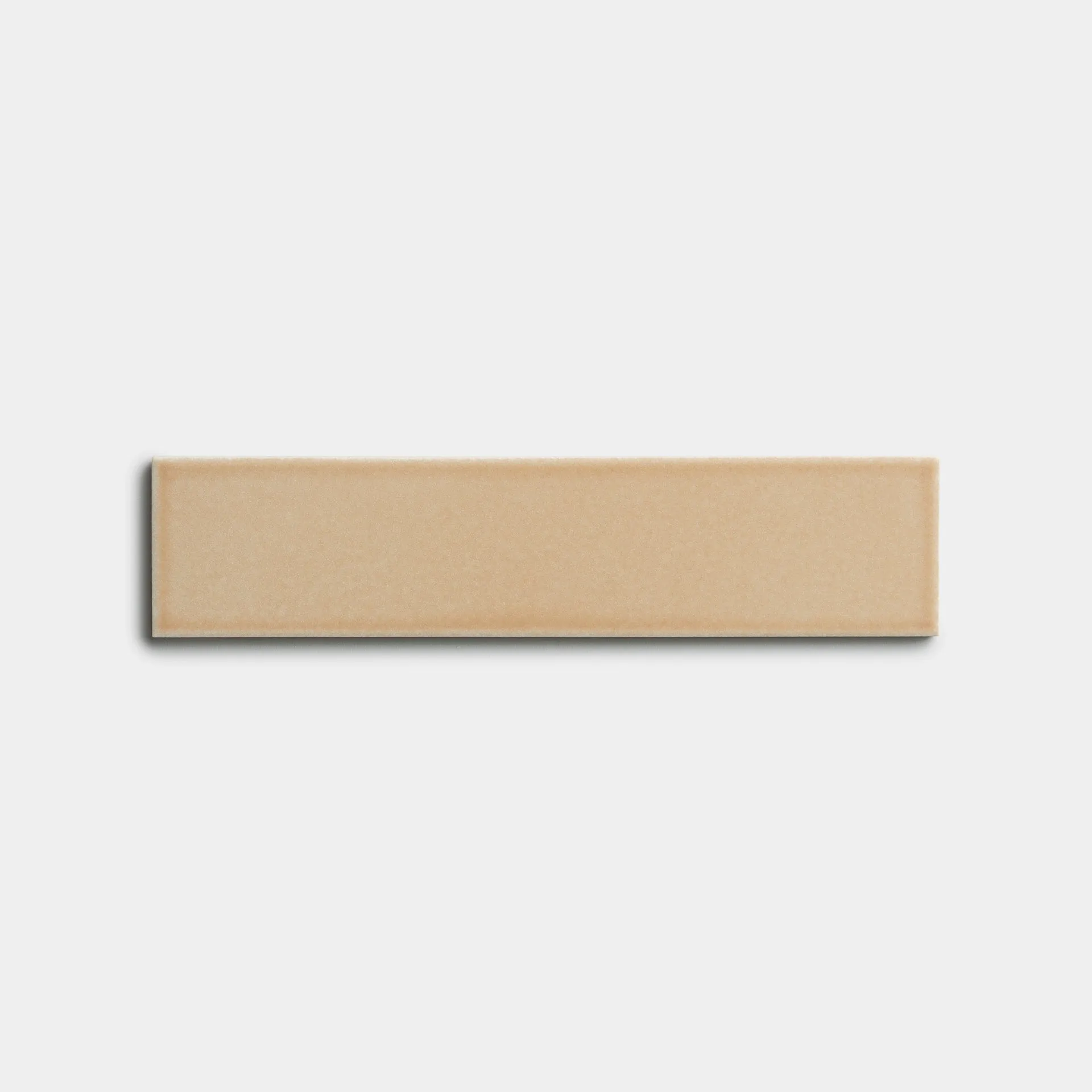 Biscuit 2x8