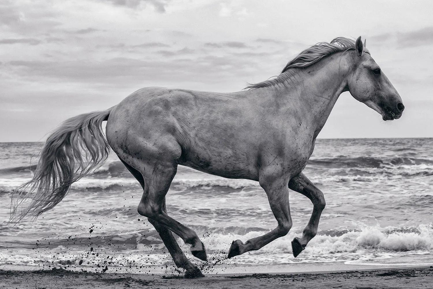 The Complete Guide to Storing Fine Art Prints: Preserve Your Investment for Decades