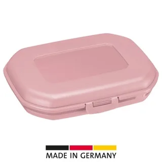 Snackbox Mini or Maxi: Which Size Fits Your Lunch?
