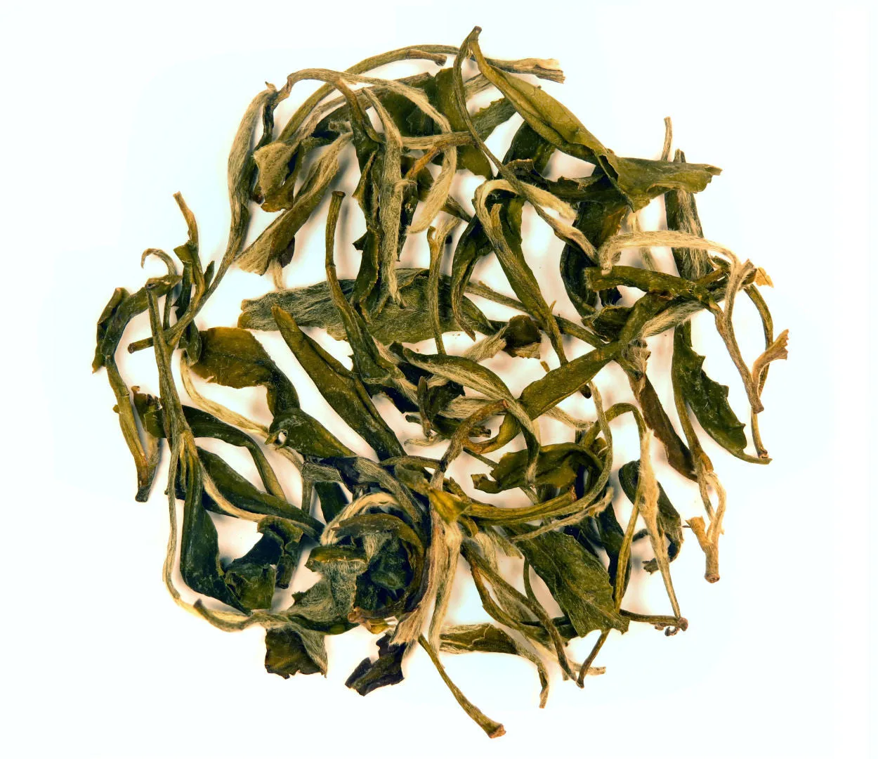 Pai Mu Tan