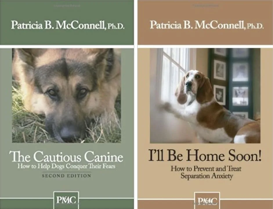 The Cautious Canine & I’ll Be Home Soon!