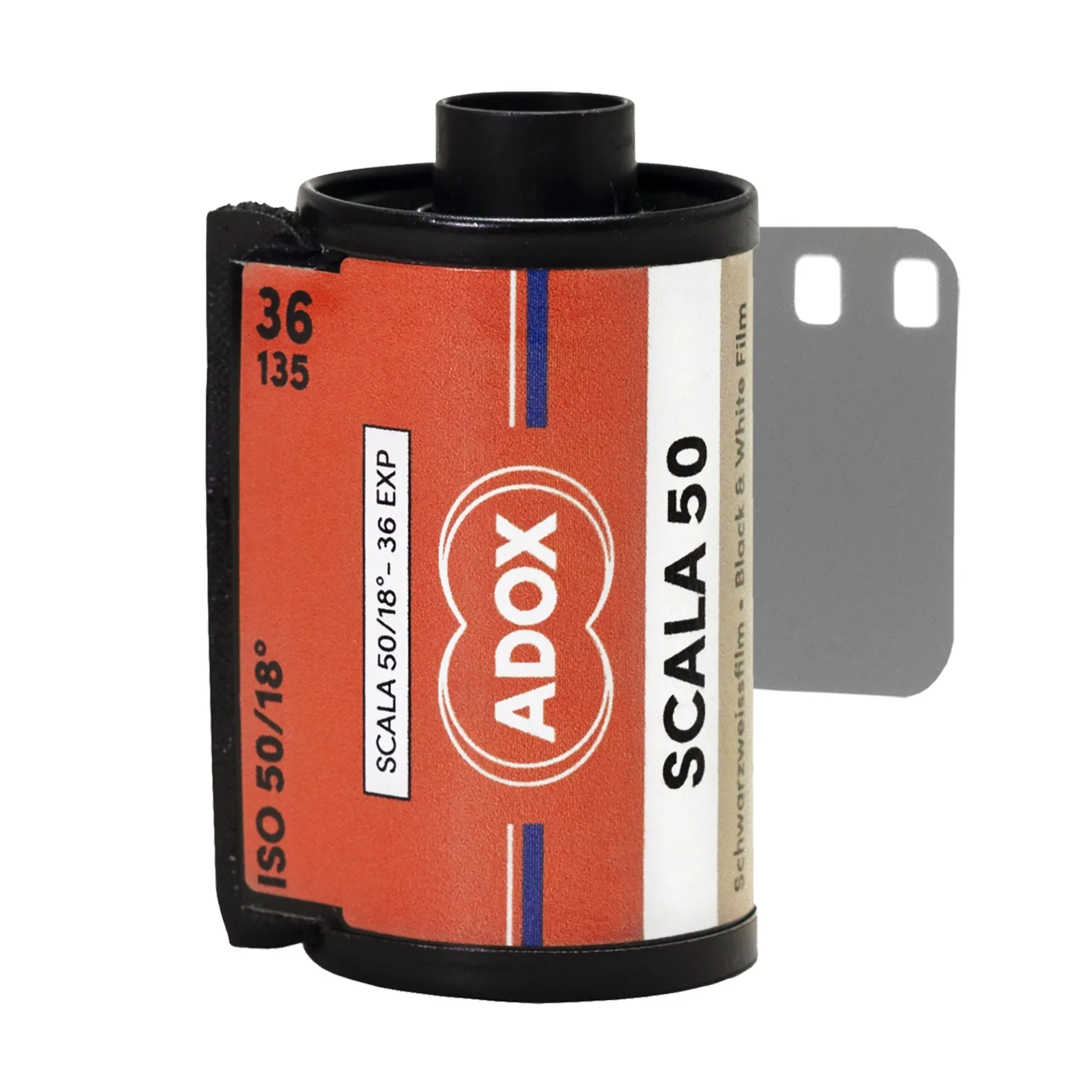 Slide Film Comparison: Provia vs Ektachrome vs Scala