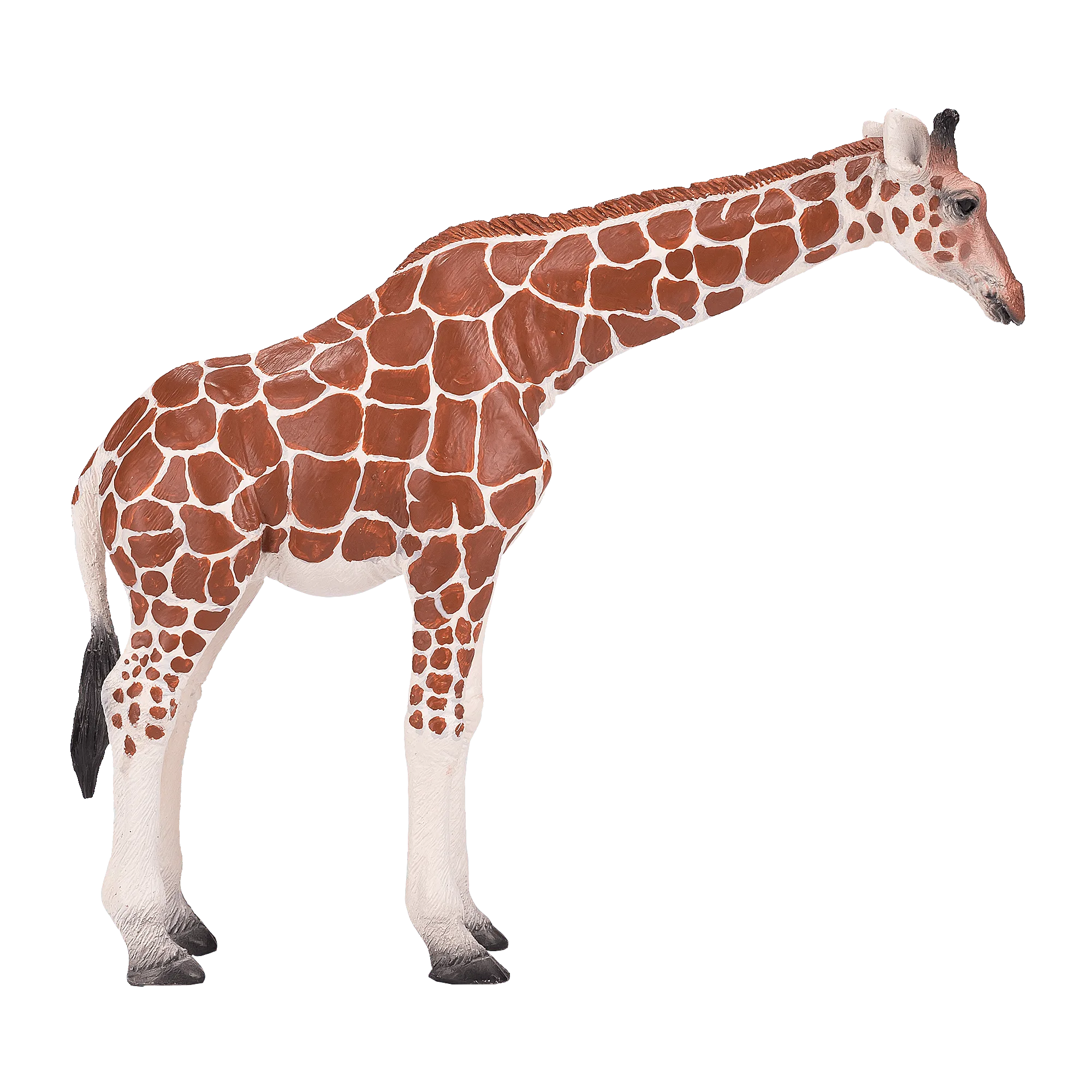 Cómo evitar que las figuras de animales se decoloren al sol