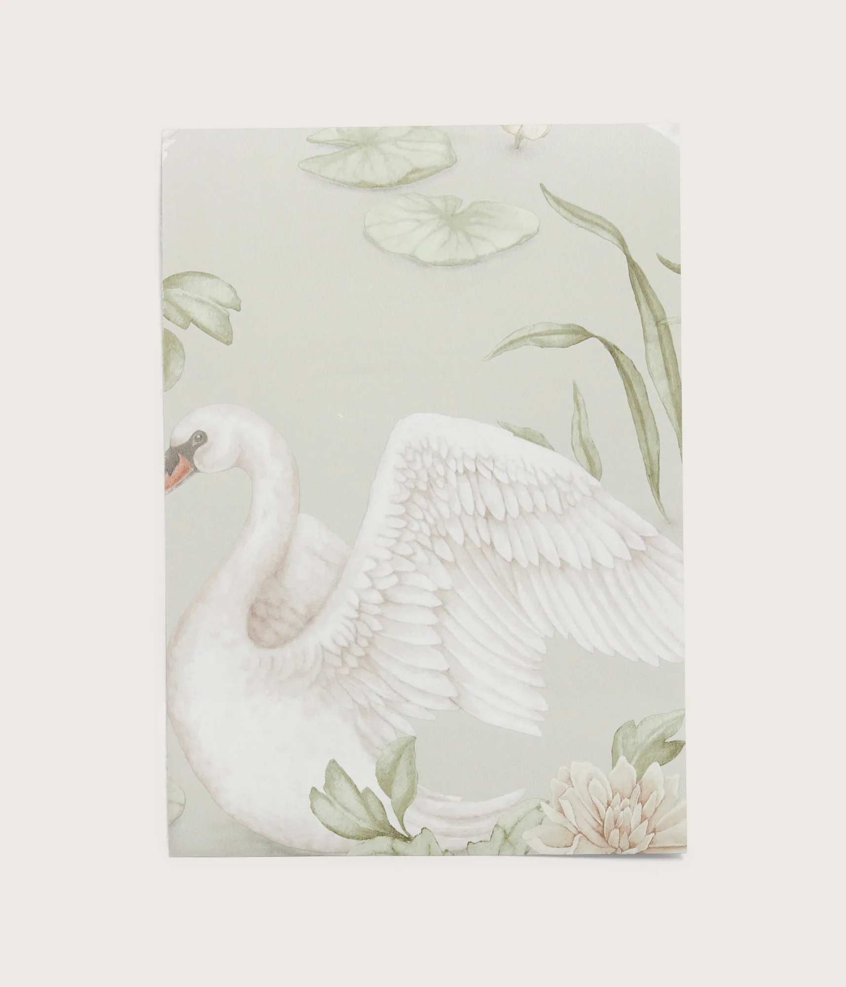 Amostra de papel de parede verde Lily swan