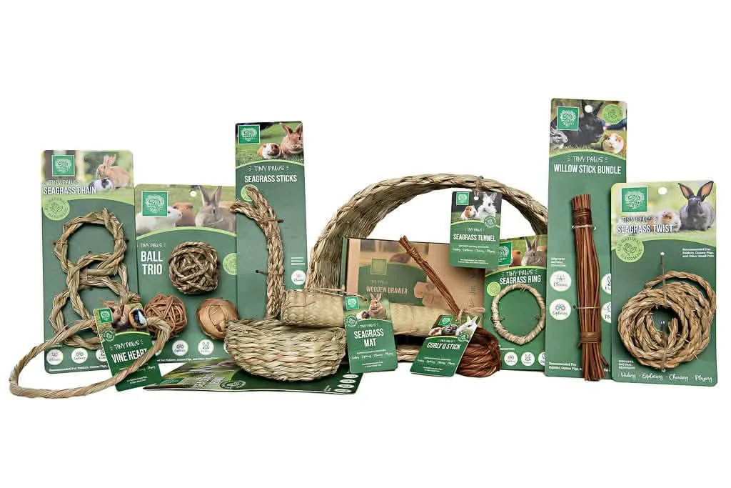 How to Choose Safe Chew Toys for Rabbits and Guinea Pigs