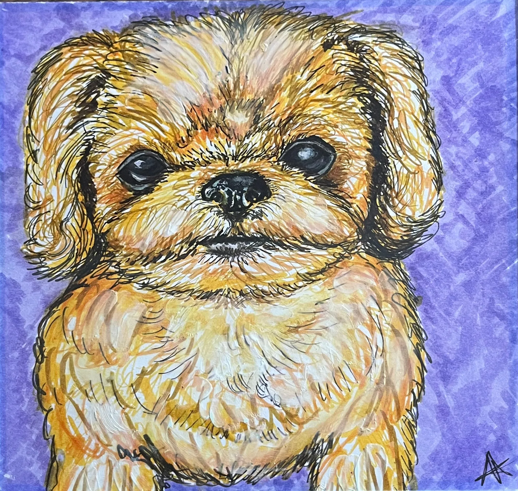Autocolante Shih Tzu Finnegan