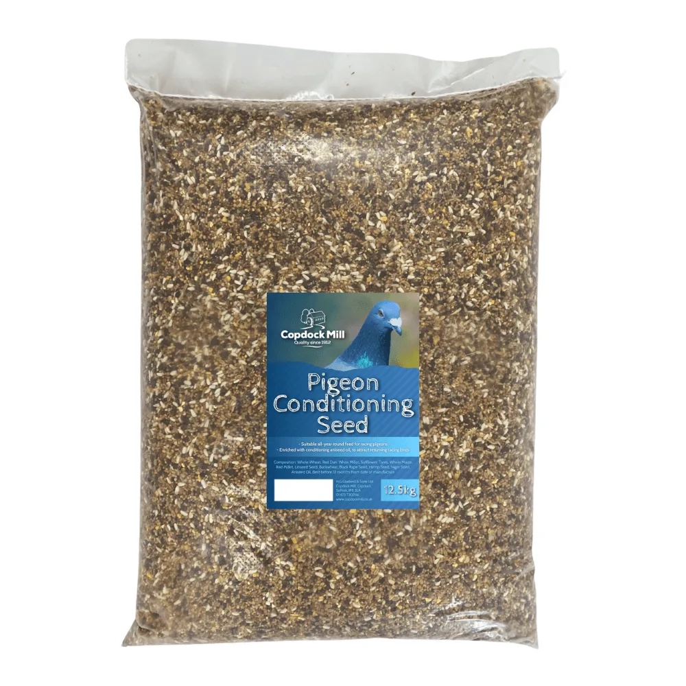 Copdock Mill Pigeon Conditioning Seed vs Maple Peas: Which Feed Wins?