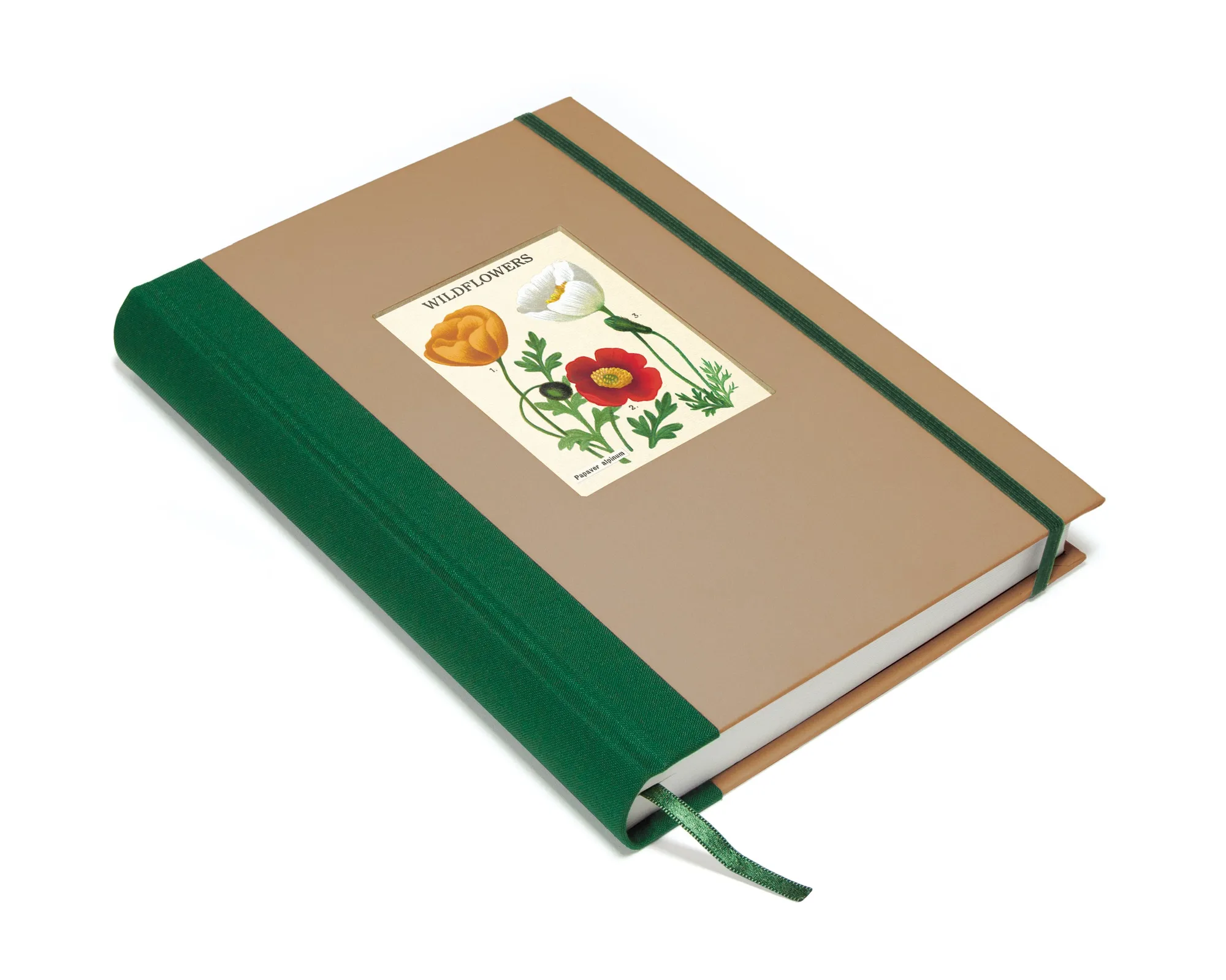 Wildflowers Window Journal