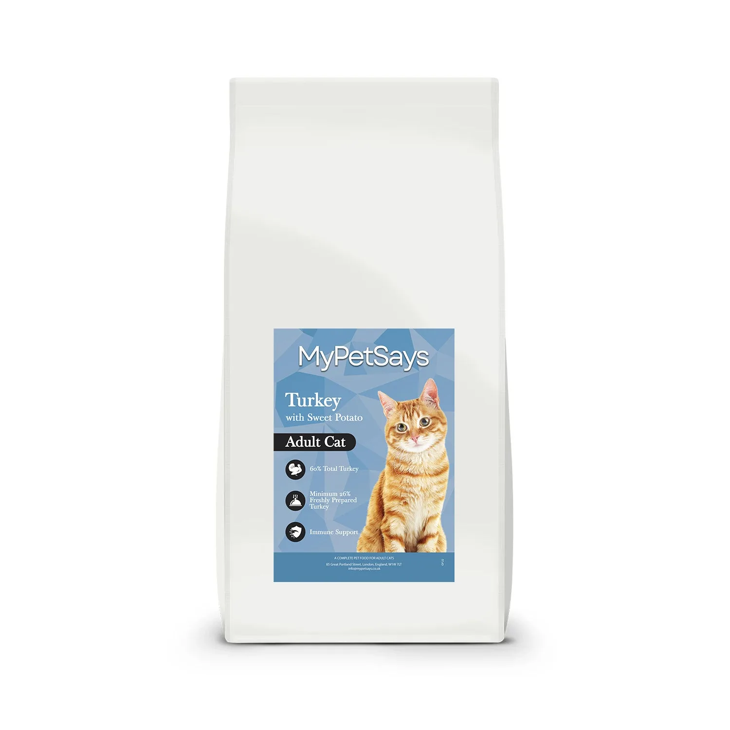 Grain Free Cat Food vs Super Premium: Which Is Right?