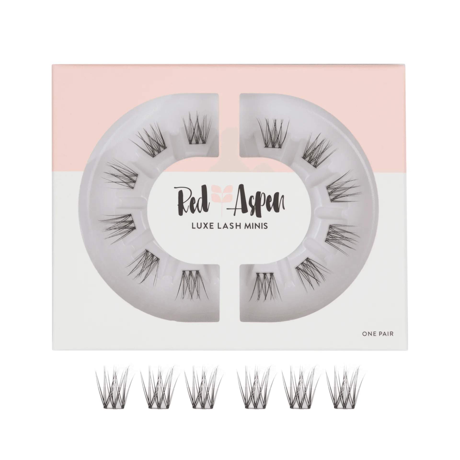 Emmy Lash