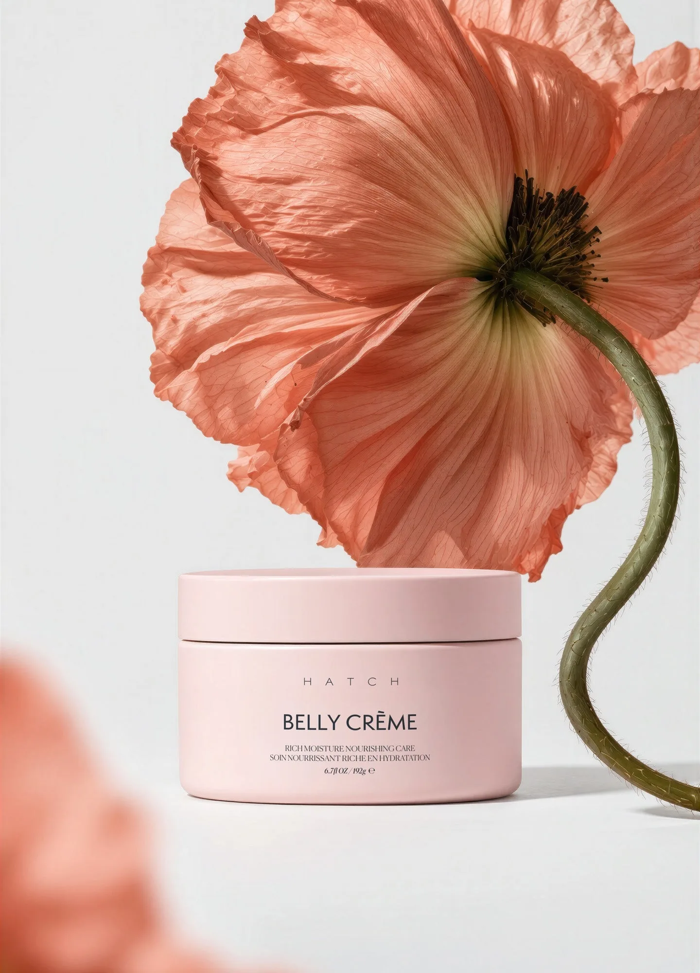 Belly Crème