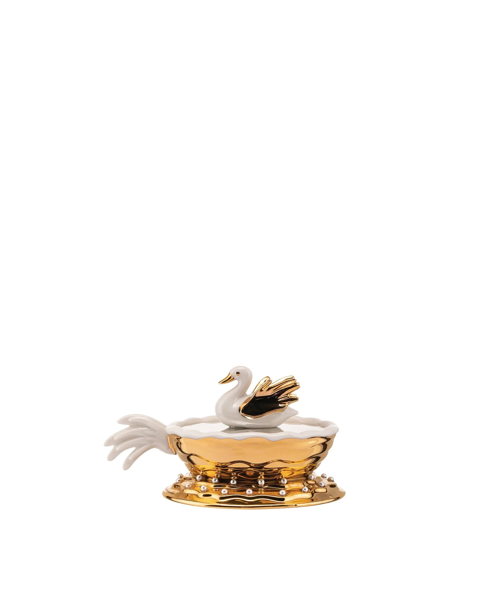 How to Serve with Narciso Dinner Plates