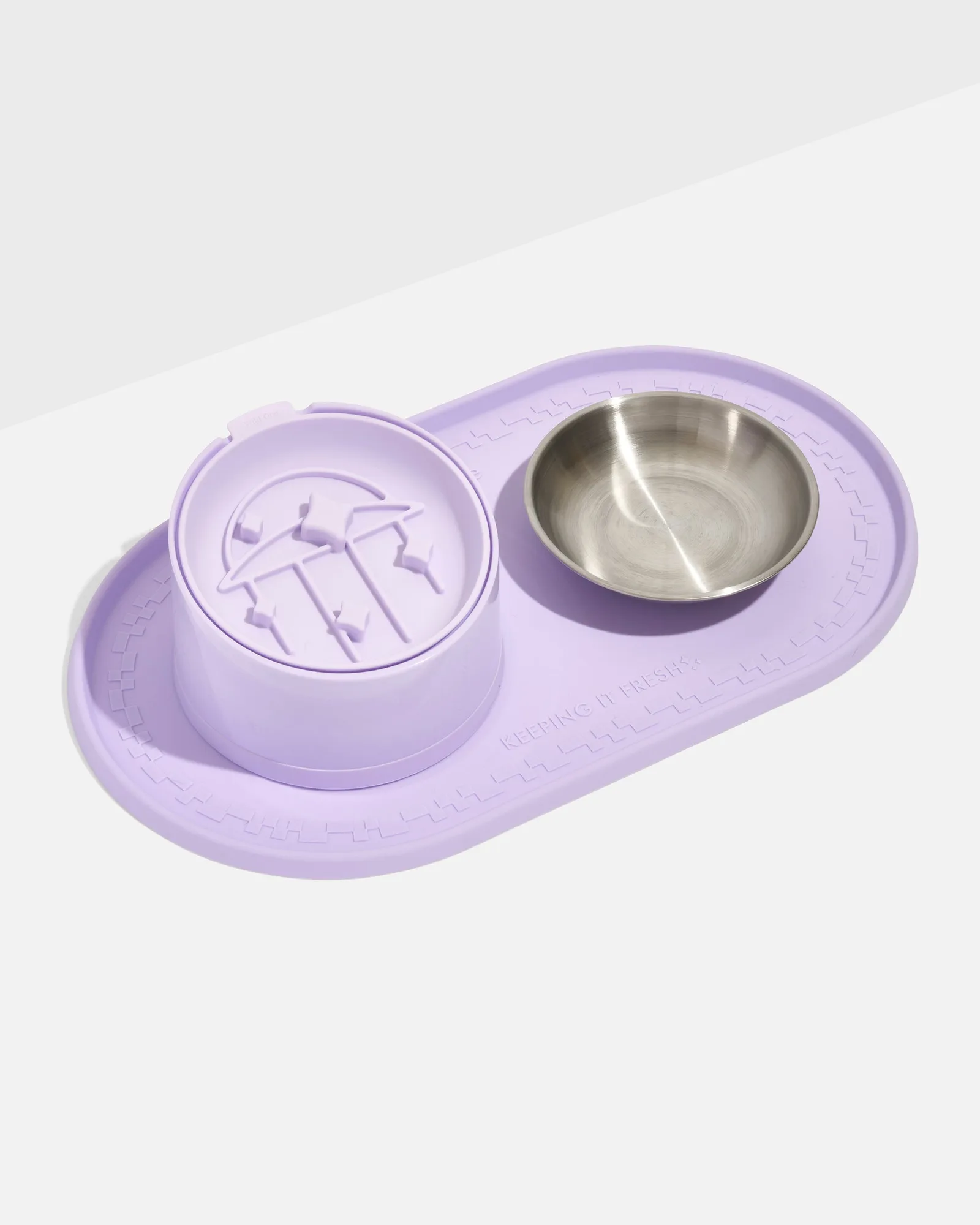 Cat Harness and Leash Kit: Features to Consider Before Buying