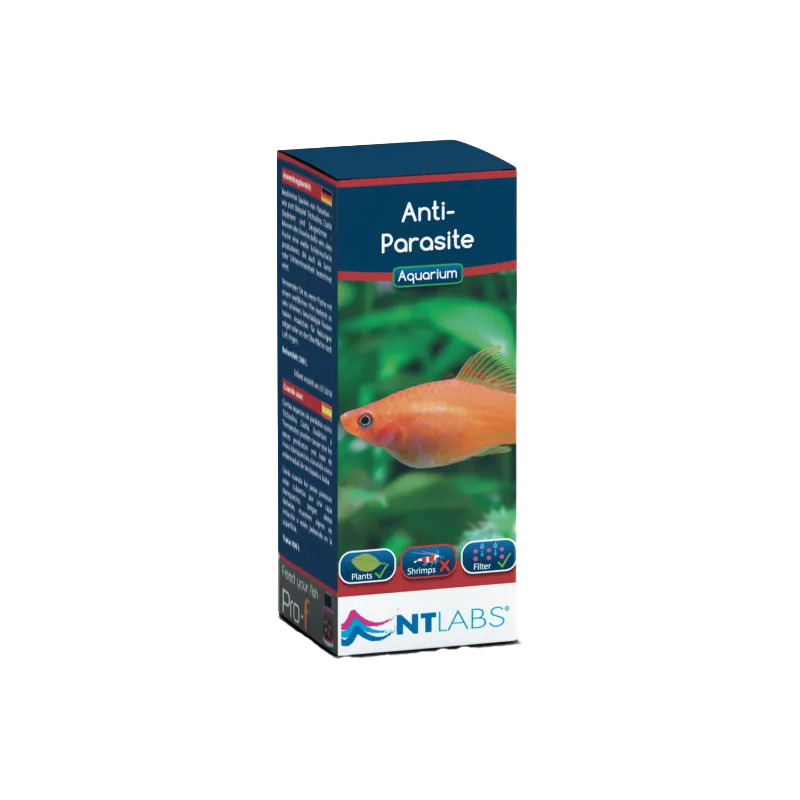 How to Use Anti-Parasite Treatments for Aquarium Fish