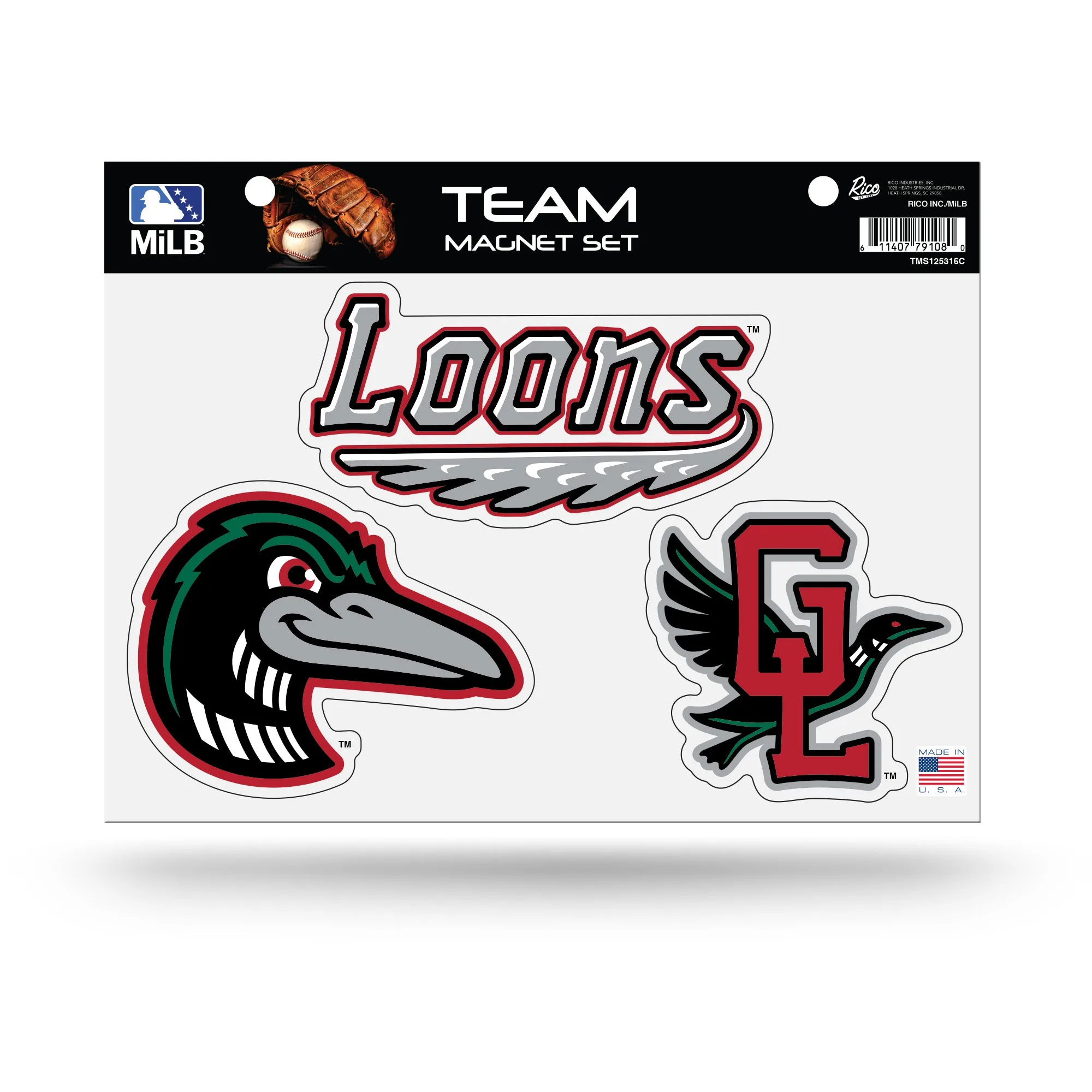 自宅でのGreat Lakes Loons旗とマグネットの飾り方