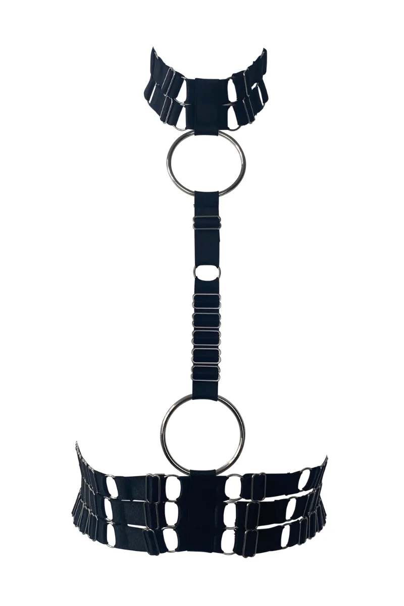 Assent Collar Harness