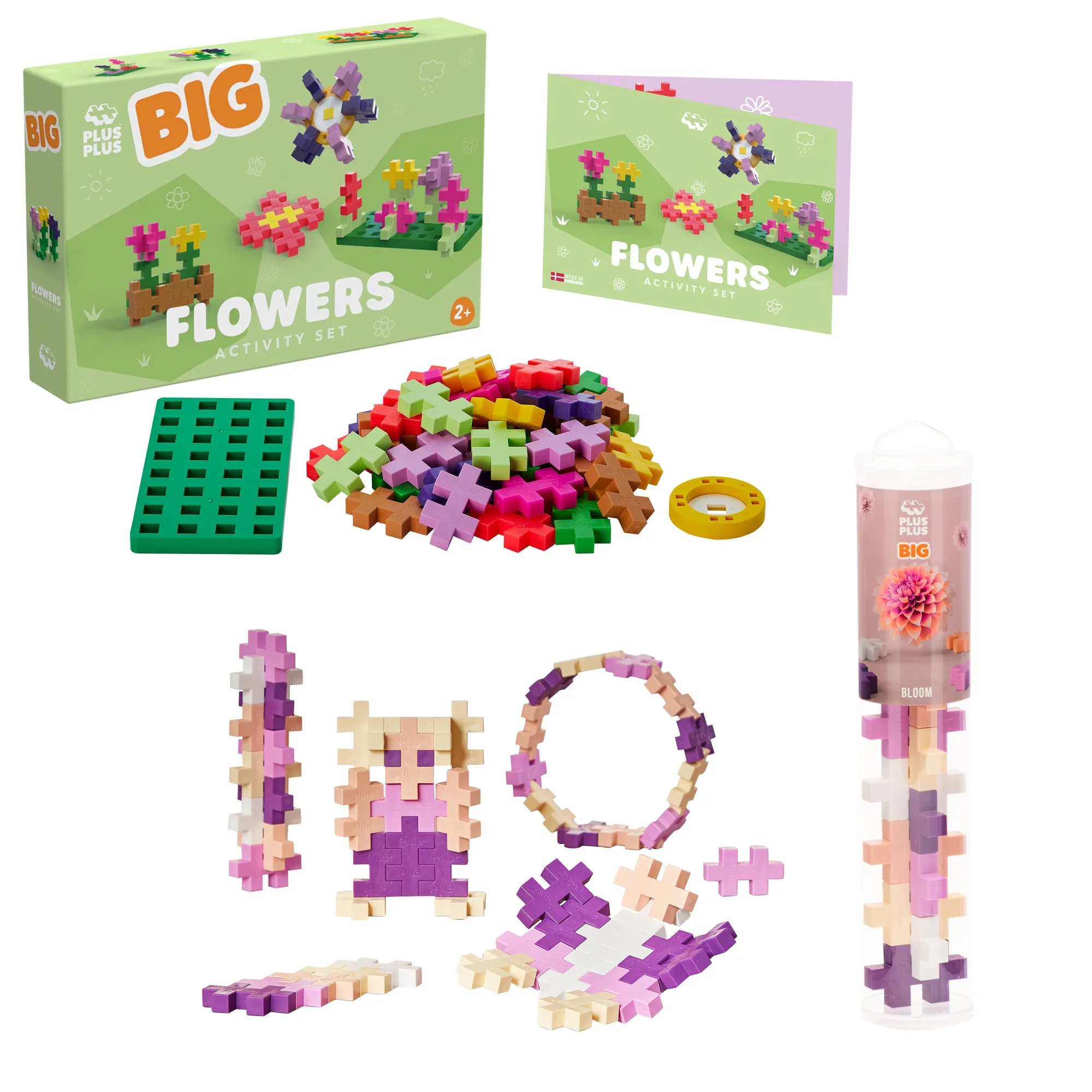 BIG Bloom and Build 組合內容：家長指南
