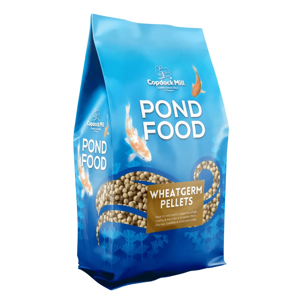 Fischfutter für den Gartenteich: Pellets, Sticks & Weizenkeime
