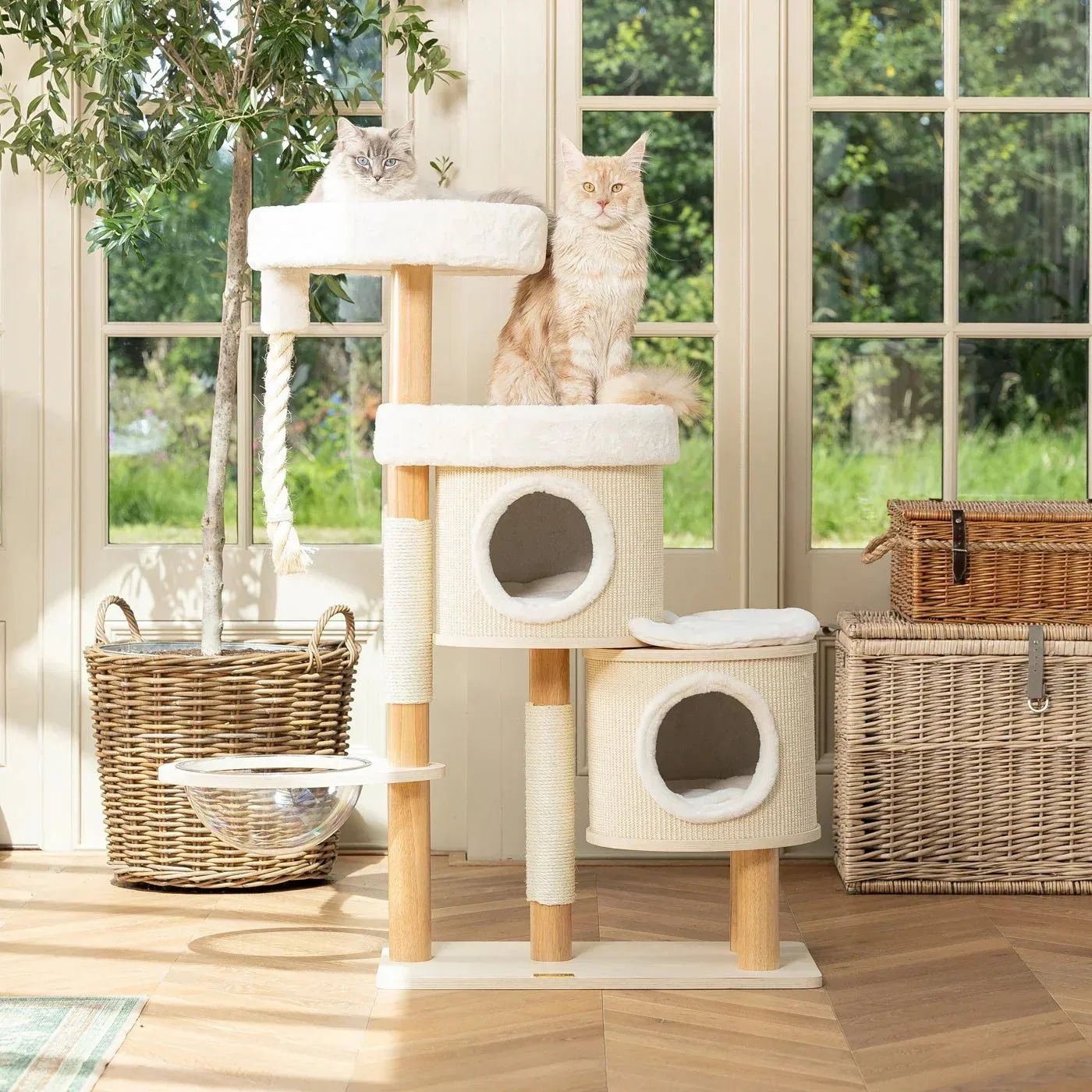 How to Pick a Cat Tree for Tall Cats