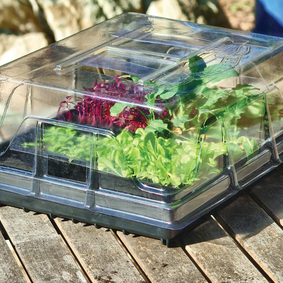 Using the Diggers Basic Propagator Kit for Seed Starting