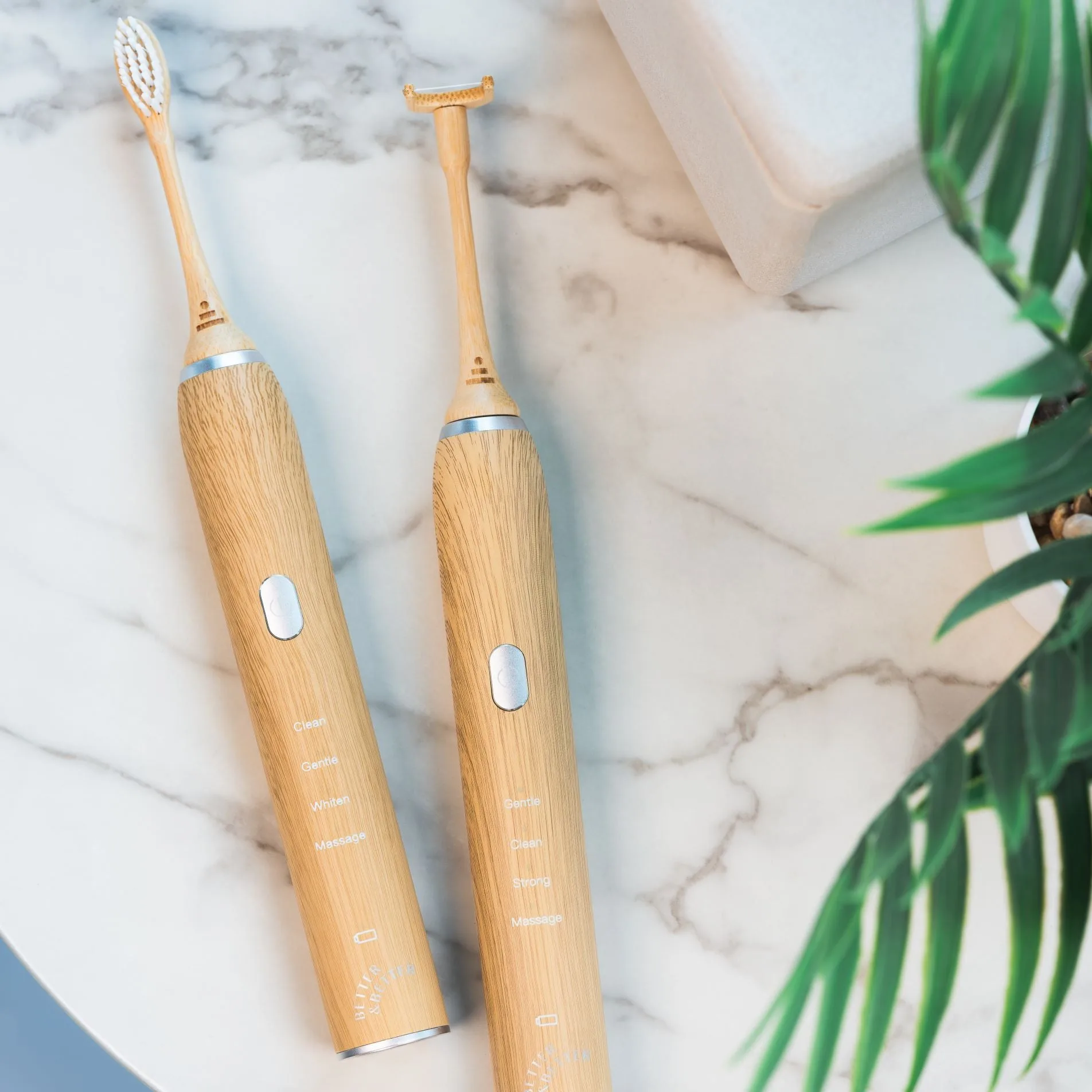 Escovilhão sónico e escova de dentes de bambu