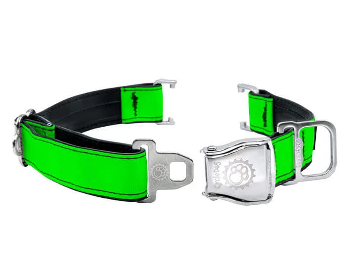Fi Compatible Groene MAX Reflecterende Hondenband