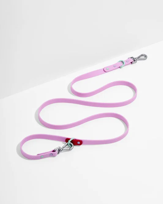 Waterproof Dog Leash vs. Standard Leash: Which Is Right for Your Pup?