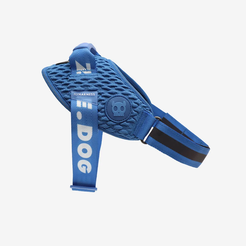 Slam Dunk FlyHarness: Vestibilità leggera per cani attivi