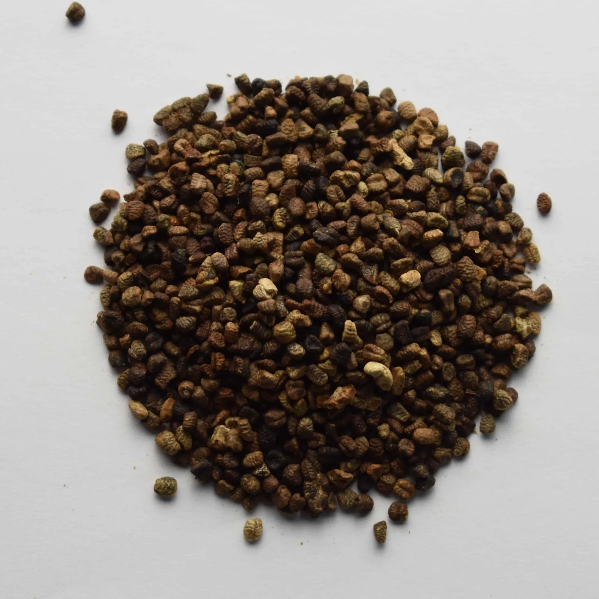 Graines de cardamome, entières