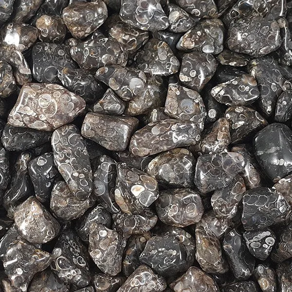 Moss Agate: Manfaat, Sifat Penyembuhan, dan Penggunaan Sehari-hari