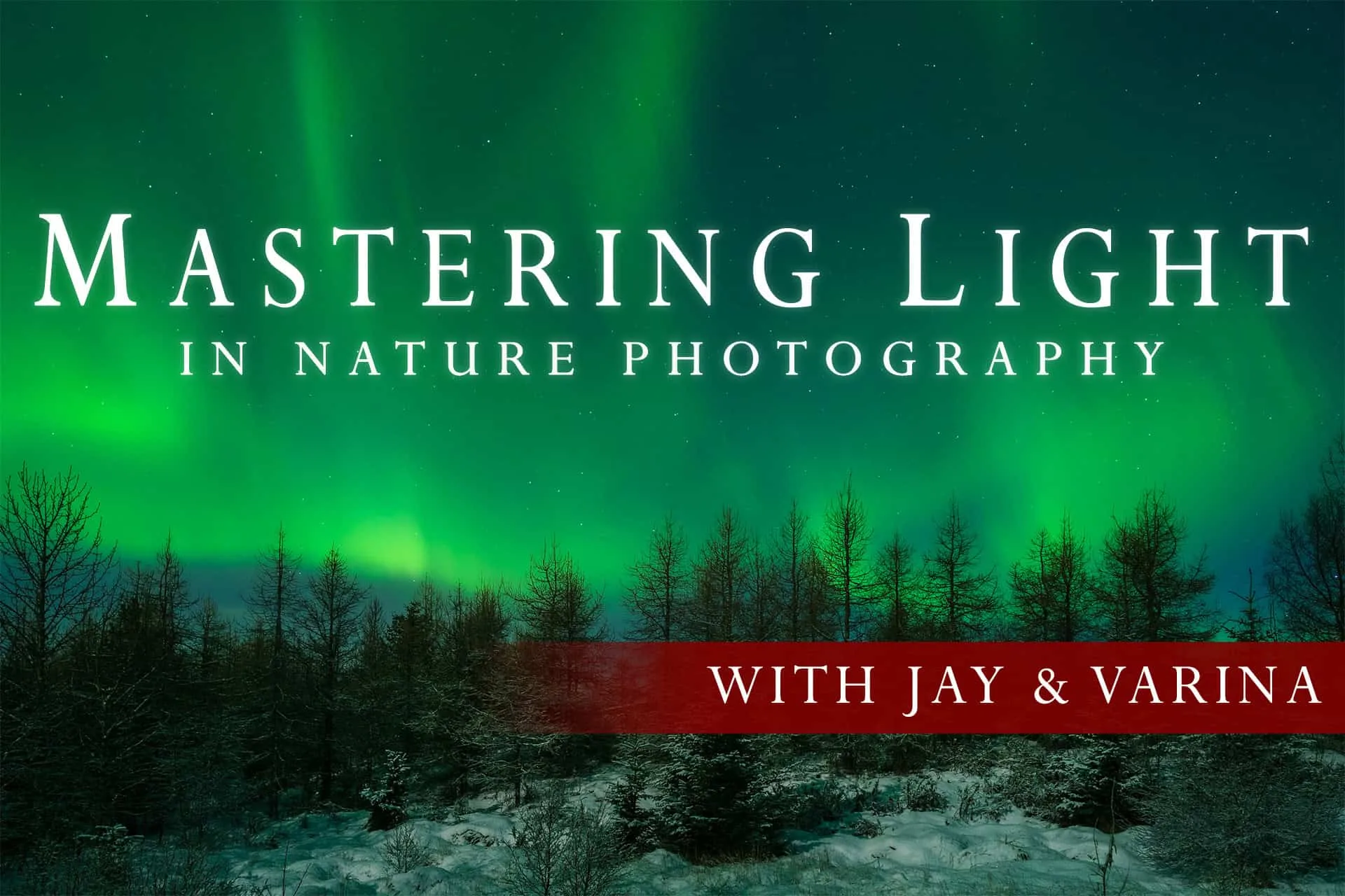 Mastering Light in Nature Photography