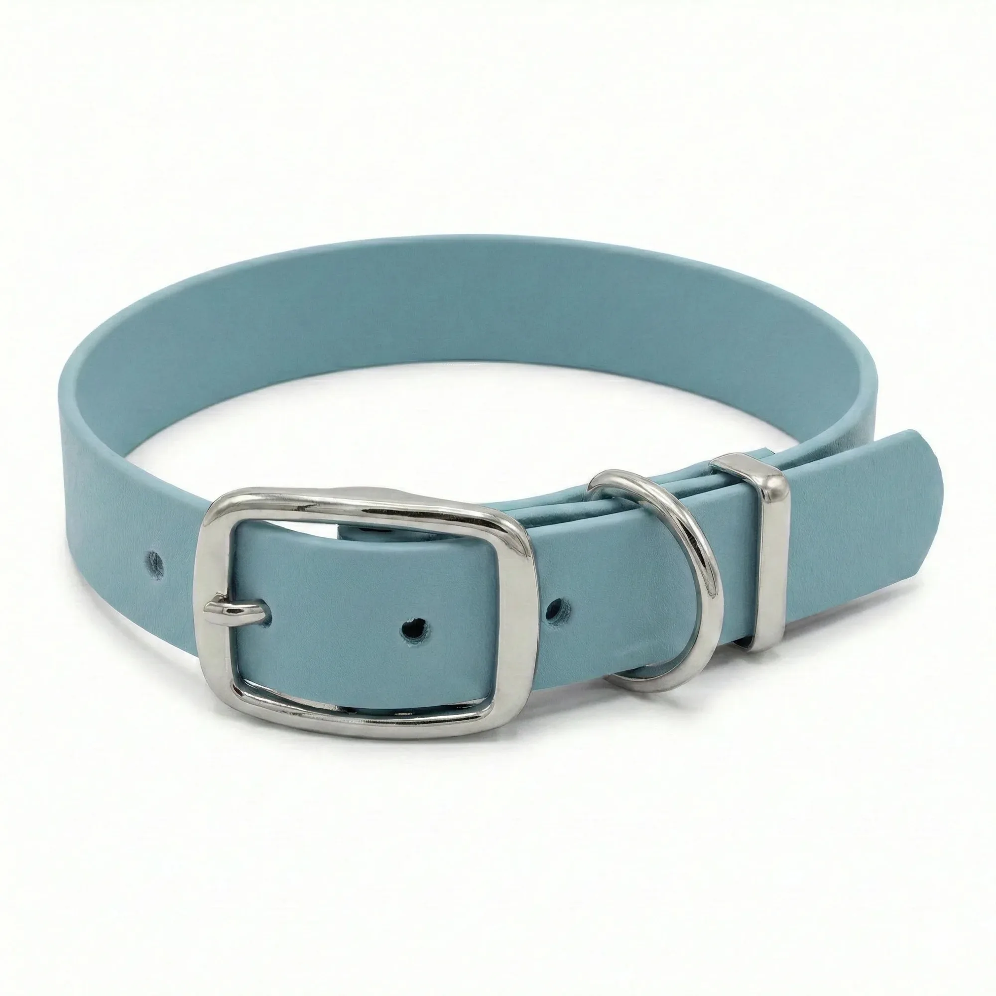 Duck Egg Blue Waterproof Biothane Buckle Dog Collar
