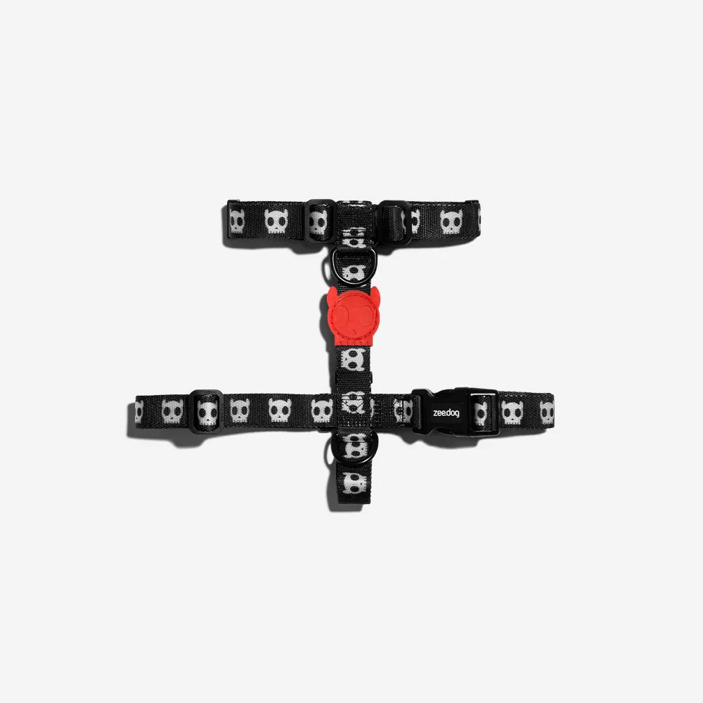 How to Train Your Dog to Accept Wearing a Harness: A Step-by-Step Guide