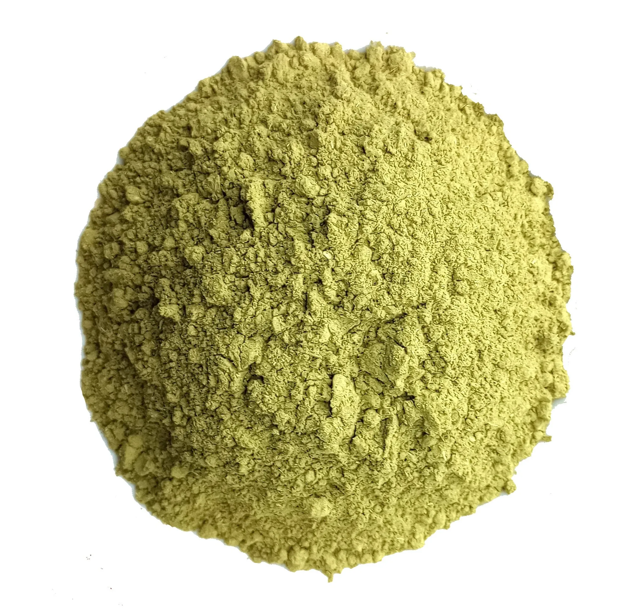 Organic Scullcap Herb Powder - CLEARANCE!