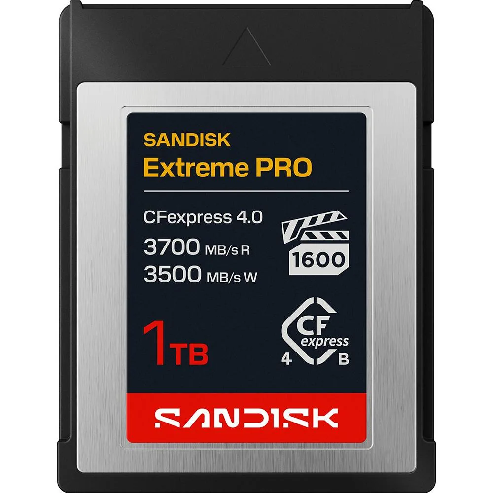 CFexpress 4.0 vs SD Cards: Which Speed Do You Need?