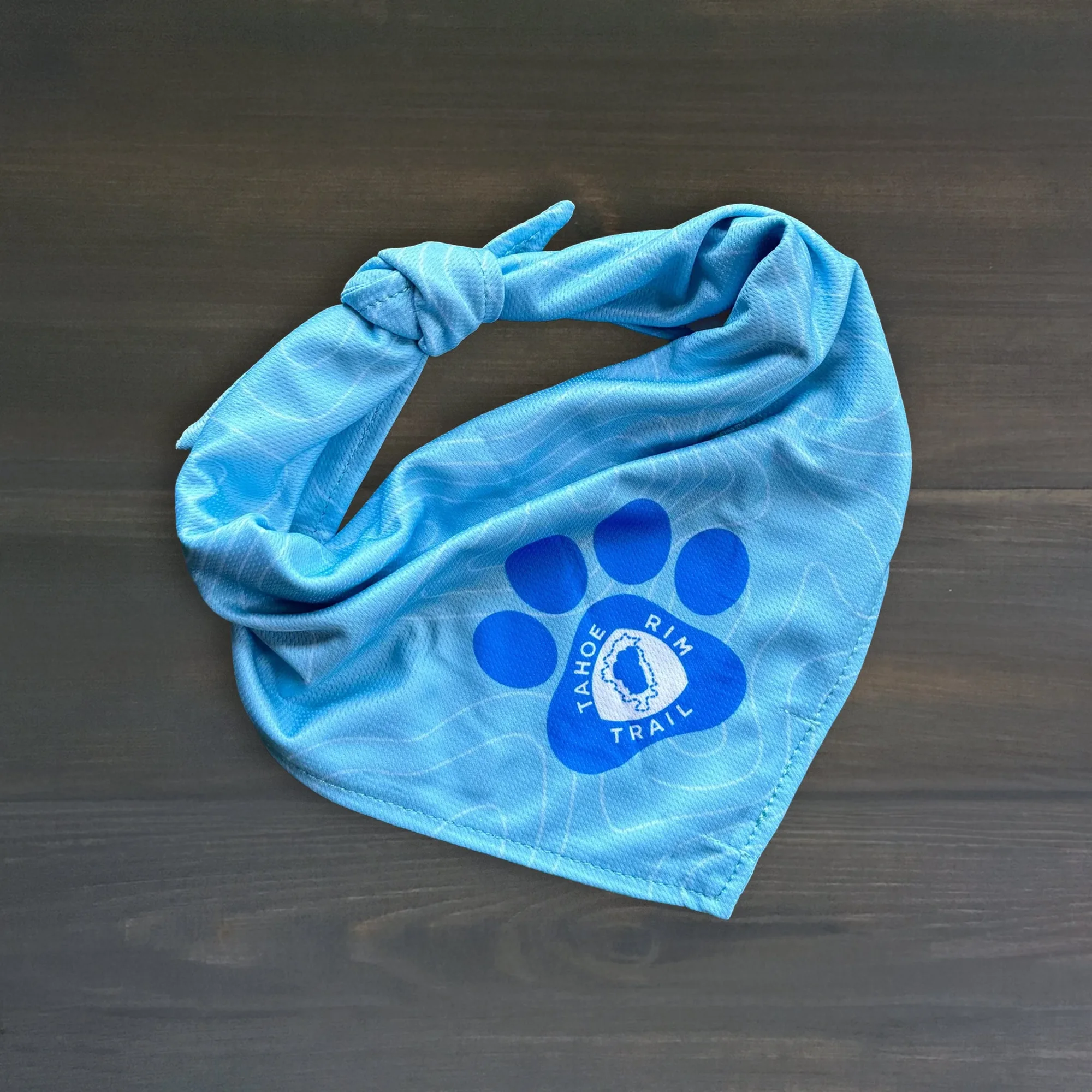 How to Clean and Care for Your Dog Bandana