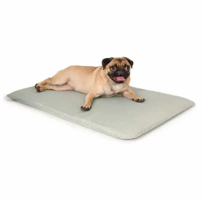 Cool Bed III® Cooling Mat for Dogs – Small