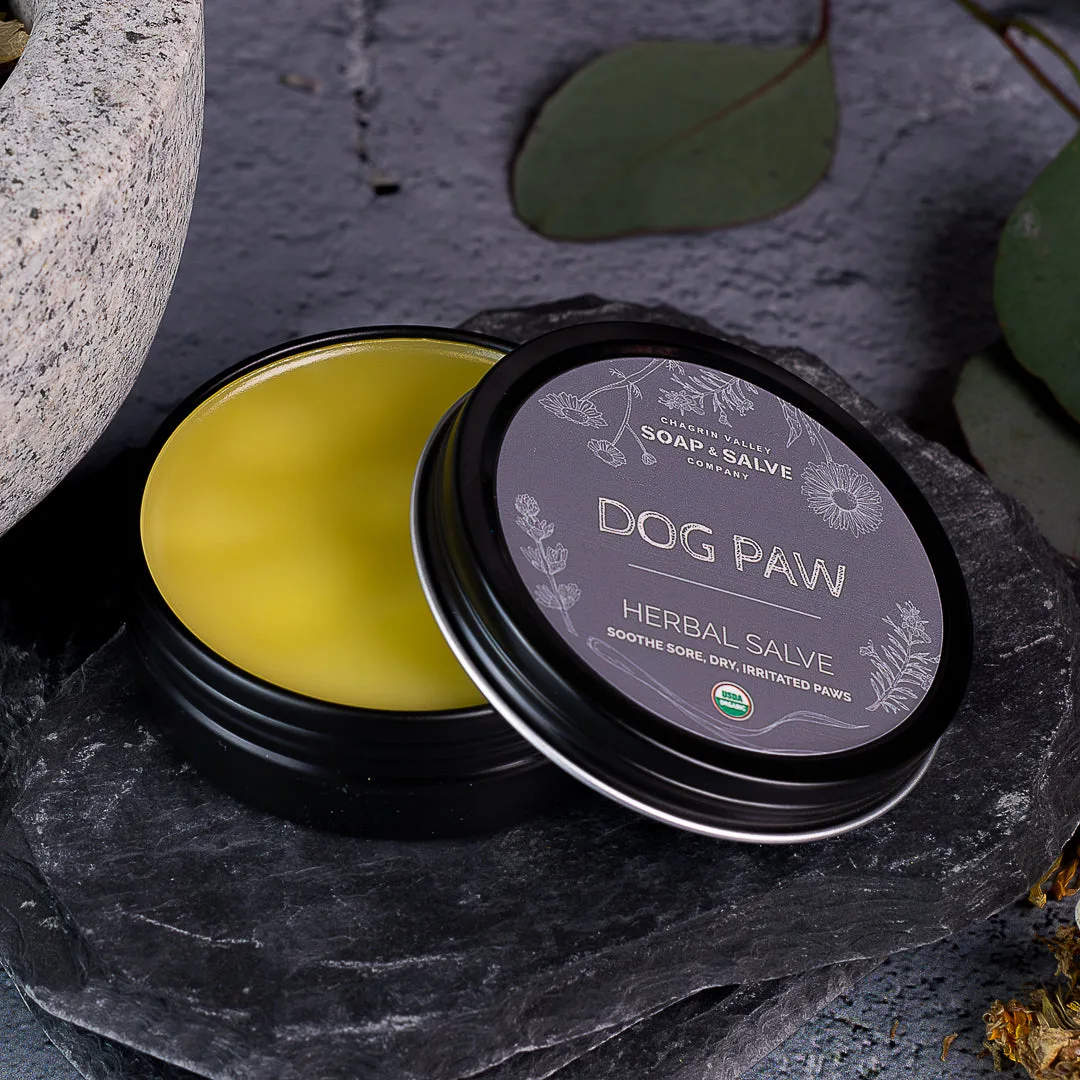Step-by-Step Guide to Grooming Your Dog with Flea Comb and Balm