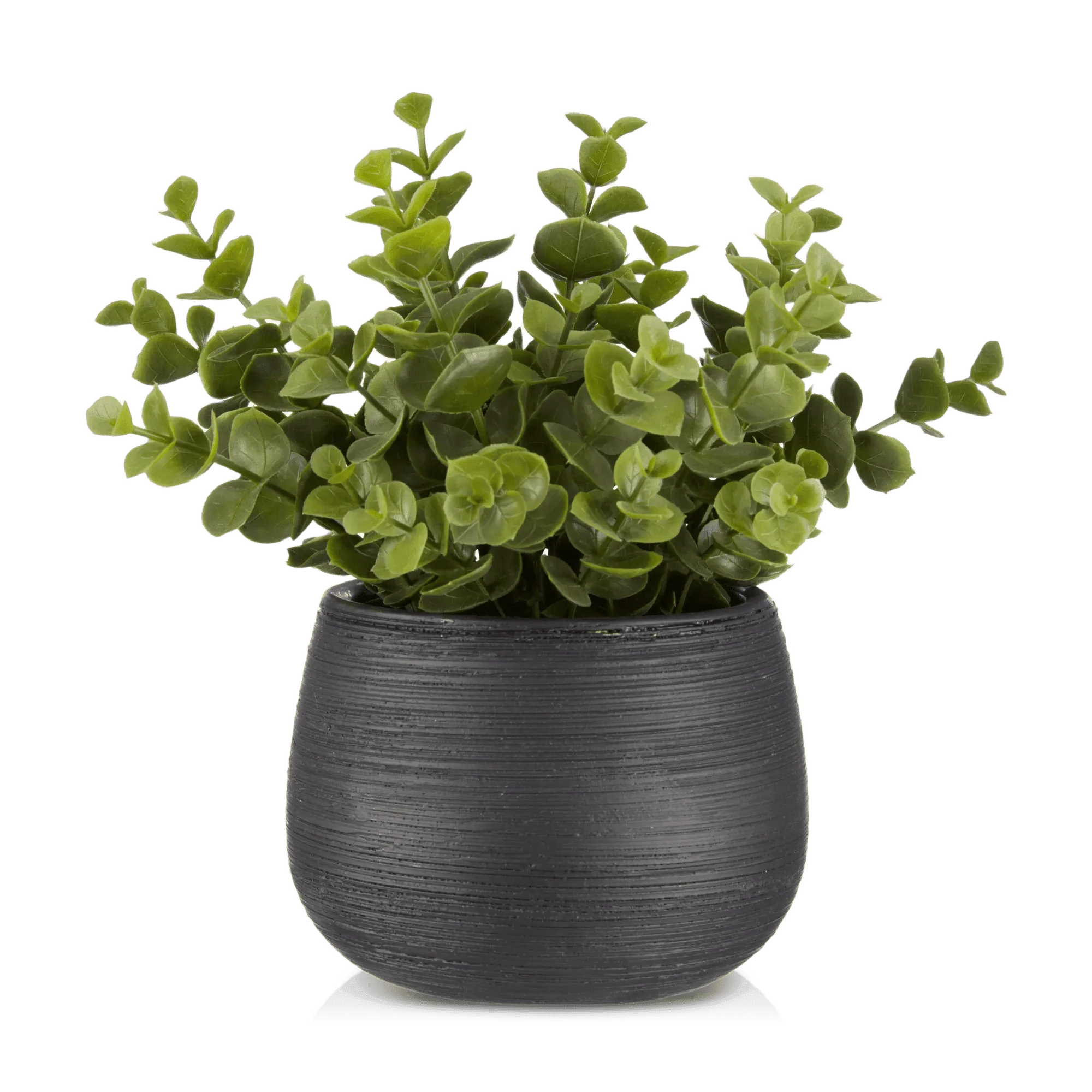 Artificial Plant in Striped Pot