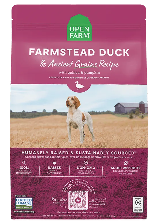 Freeze-Dried Raw Dog Food Brands Compared: Ingredients, Processing, and Value