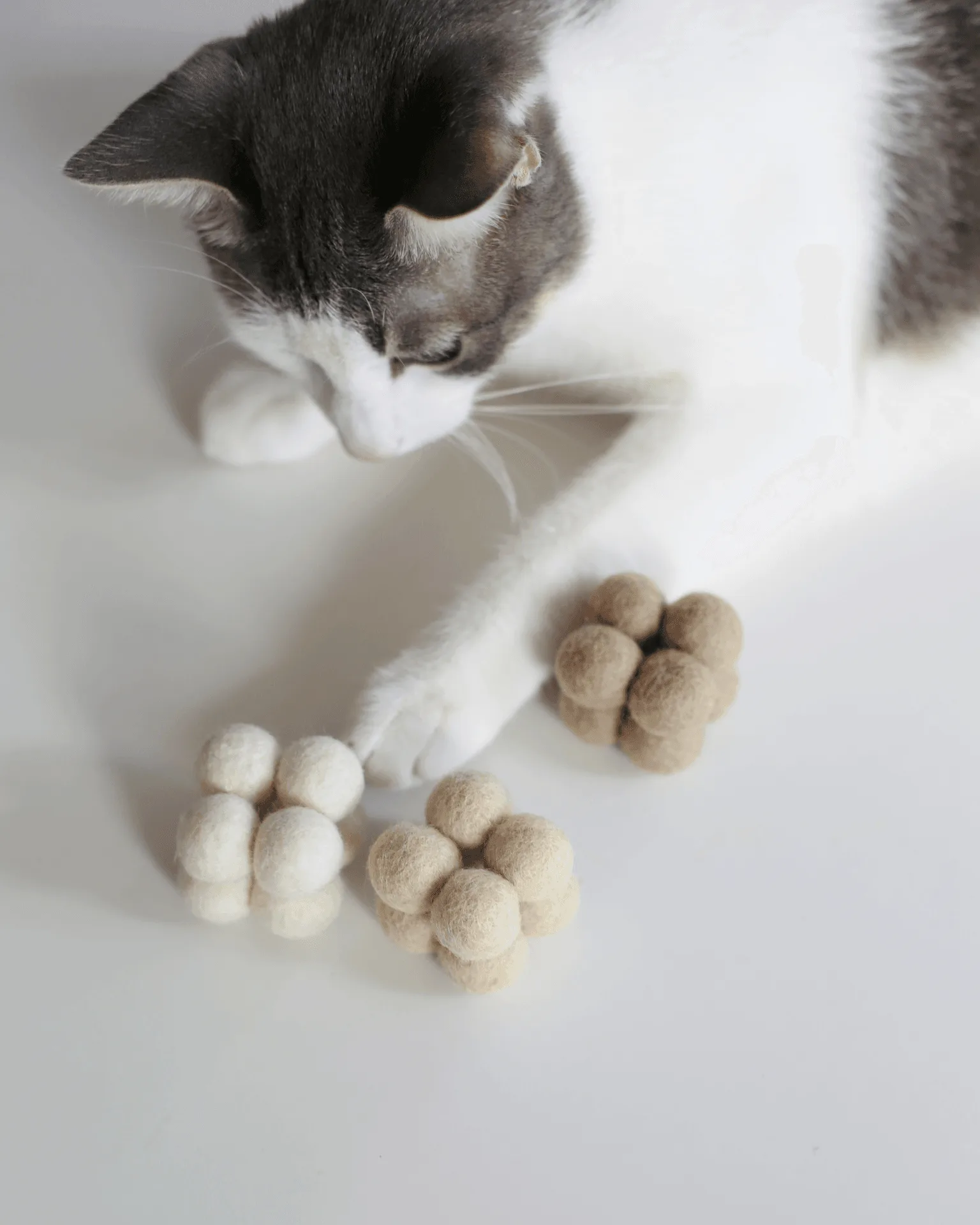 Catenary Pearl Toys