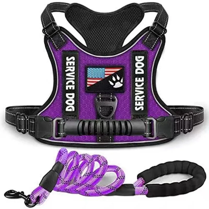 Why Does My Dog Pull on the Leash? Solutions That Work