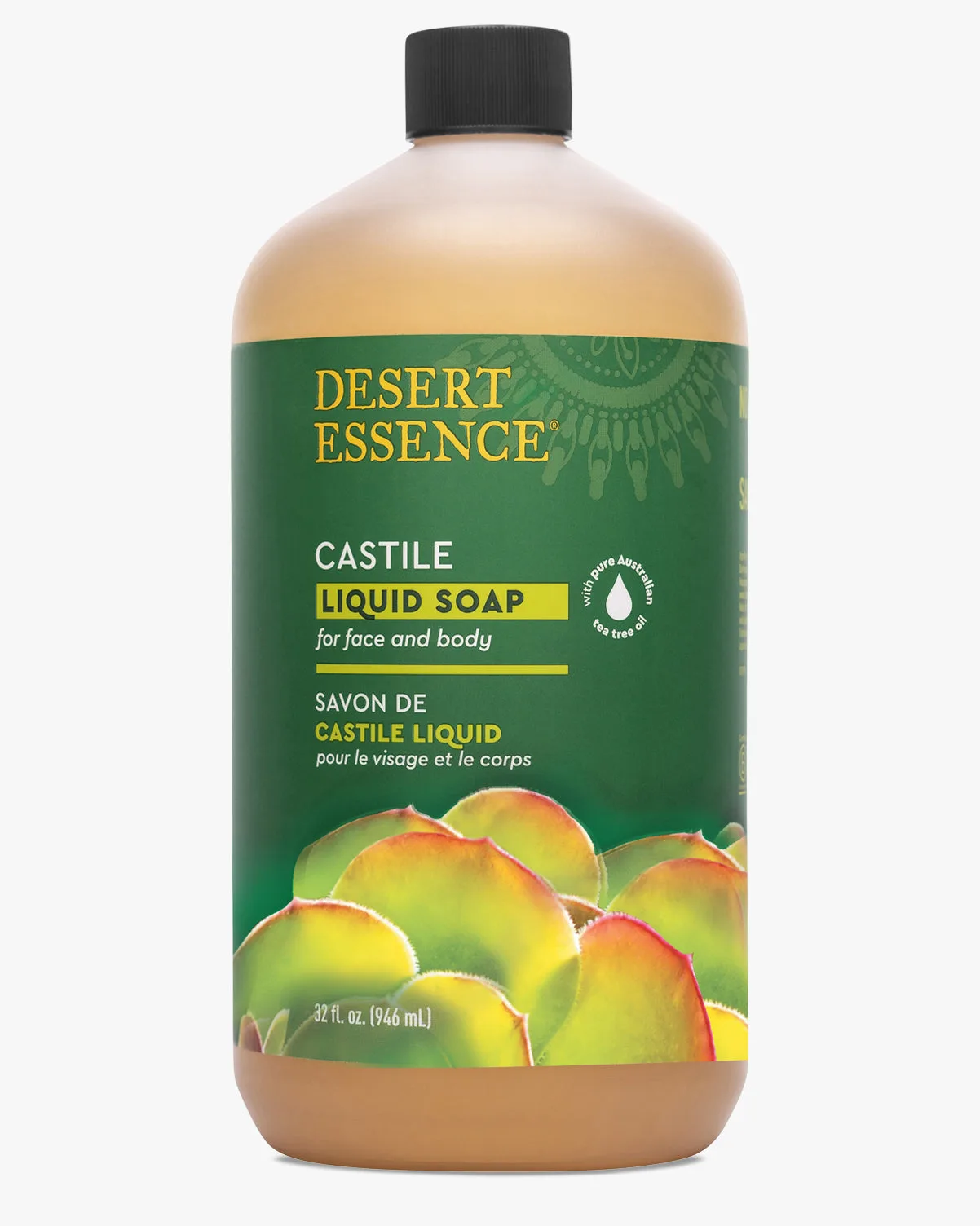 Aloe & Tea Tree Oil Toothpaste Review: A Carrageenan-Free Choice