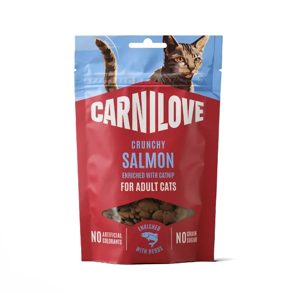 Soft vs Crunchy Cat Treats: Texture Comparison