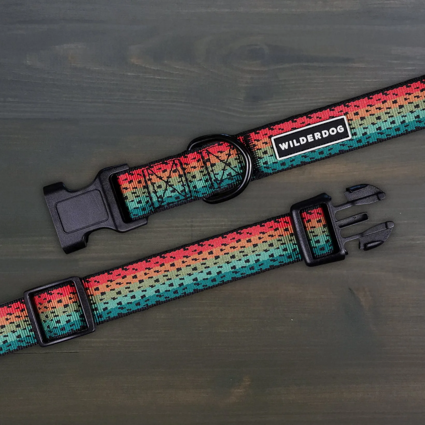 Industry News: Latest Trends in Adventure Dog Gear for 2026